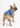 Leaves Jersey Blue